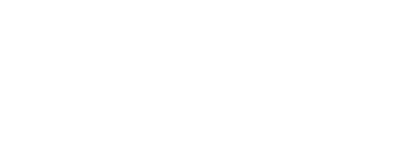 Rapid Digital Conversion